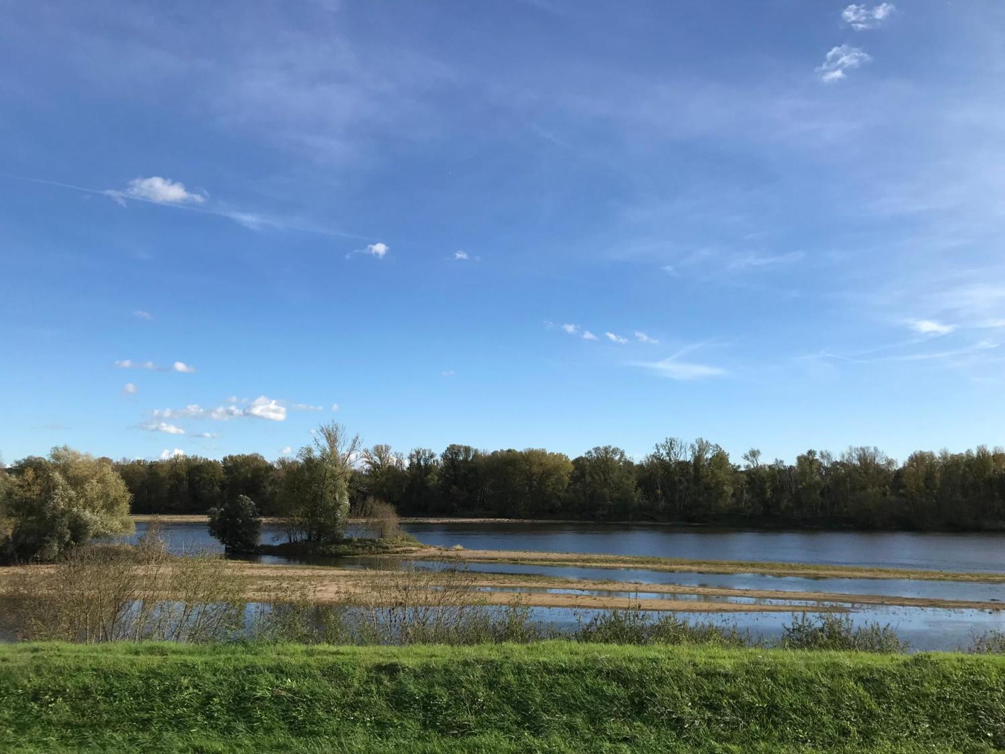 Jacuzzi Et Vue Sur Loire - Maison D'Hotes L'Odyssee La Chapelle-sur-Loire Экстерьер фото